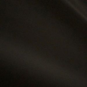 Meet your Posher, Roy